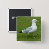 Seagull zu Fuß im Park Button (Vorne & Hinten)