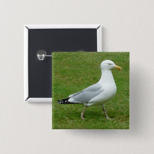 Seagull zu Fuß im Park Button (Vorne & Hinten)