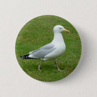 Seagull zu Fuß im Park Button