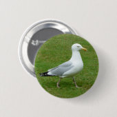Seagull zu Fuß im Park Button (Vorne & Hinten)