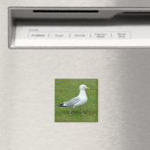 Seagull zu Fuß im Park Magnet (In Situ (Geschirrspüler))