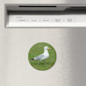 Seagull zu Fuß im Park Magnet (In Situ (Geschirrspüler))
