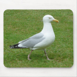 Seagull zu Fuß im Park Mousepad