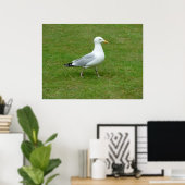 Seagull zu Fuß im Park Poster (Heimbüro)