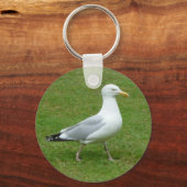 Seagull zu Fuß im Park Schlüsselanhänger (Vorderseite)