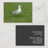 Seagull zu Fuß im Park Visitenkarte (Vorne/Hinten)
