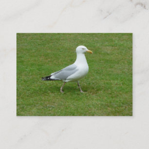 Seagull zu Fuß im Park Visitenkarte