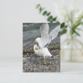 Seagullen bekämpfen postkarte (Stehend Vorderseite)