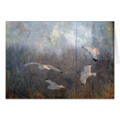 Seagulls (Vorderseite (Horizontal))