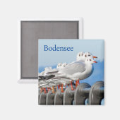Seagulls am Bodensee Magnet (Vorderseite/Rückseite)