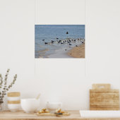 Seagulls auf Beach Poster (Küche)