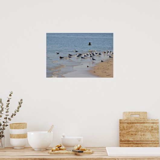 Seagulls auf Beach Poster (Küche)