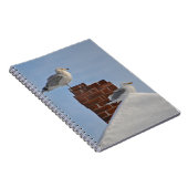 SEAGULLS auf dem DachNotebook Notizblock (Rechte Seite)