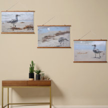 Seagulls-Bucht Fotografische Küste