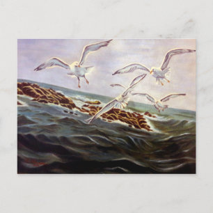Seagulls der Kindness Postcard Feiertagspostkarte