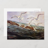 Seagulls der Kindness Postcard Feiertagspostkarte (Vorne/Hinten)