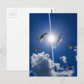 Seagulls Flying Sky Clouds Sun Postkarte (Vorne/Hinten)