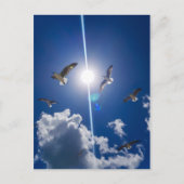 Seagulls Flying Sky Clouds Sun Postkarte (Vorderseite)