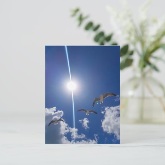 Seagulls Flying Sky Clouds Sun Postkarte (Stehend Vorderseite)