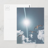 Seagulls Flying Sky Clouds Sun Postkarte (Vorne/Hinten)