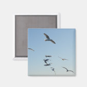 Seagulls Flying Square Magnet (Vorderseite/Rückseite)