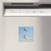 Seagulls Flying Square Magnet (In Situ (Geschirrspüler))