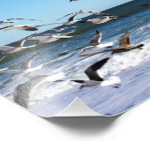 Seagulls-Foto Fotodruck (Ecke)