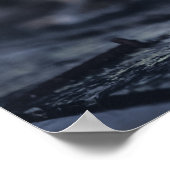 Seagulls Fotografie Poster (Ecke)