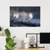 Seagulls Fotografie Poster (Heimbüro)