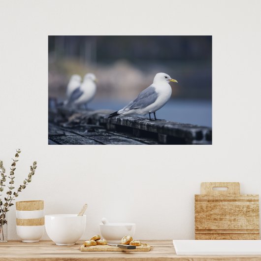 Seagulls Fotografie Poster (Küche)