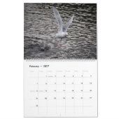 Seagulls Kalender (Feb 2027)