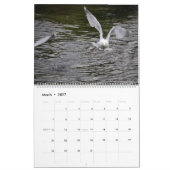 Seagulls Kalender (Mär 2027)
