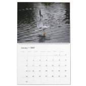 Seagulls Kalender (Jan 2027)