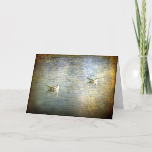 Seagulls Karte (Vorderseite)