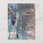 Seagulls list of birds mixed media collage postkarte (Vorderseite)