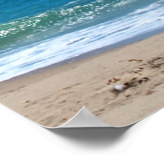 Seagulls mf poster (Ecke)