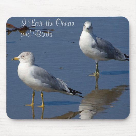 Seagulls Mousepad (Vorne)