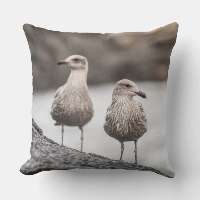 Seagulls Nature Foto Kissen (Vorderseite)