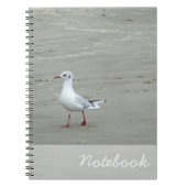 Seagulls-Notebook Notizblock (Vorderseite)