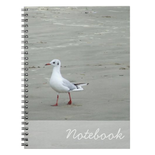 Seagulls-Notebook Notizblock (Vorderseite)