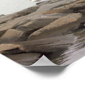 Seagulls on Rocks Poster (Ecke)