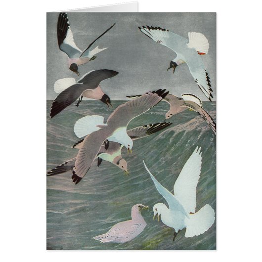 Seagulls Over Ocean Waves von Louis Agassiz Futes (Vorne)