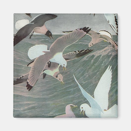Seagulls Over Ocean Waves von Louis Agassiz Futes Magnet (Vorne)
