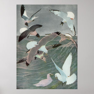 Seagulls Over Ocean Waves von Louis Agassiz Futes Poster
