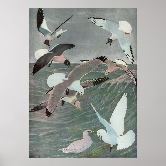 Seagulls Over Ocean Waves von Louis Agassiz Futes Poster (Vorne)