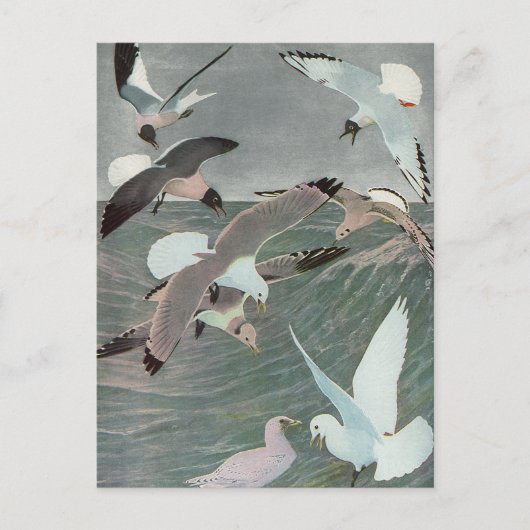 Seagulls Over Ocean Waves von Louis Agassiz Futes Postkarte (Vorderseite)