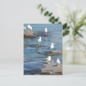 Seagulls Perch, Seagulls Perch Duluth, MN Postkarte (Stehend Vorderseite)