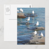 Seagulls Perch, Seagulls Perch Duluth, MN Postkarte (Vorne/Hinten)