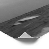 Seagulls Poster (Ecke)