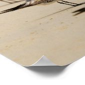 Seagulls Poster (Ecke)